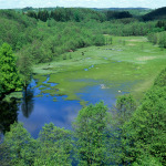 Turtul pond