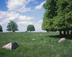 Typical boulder field in SLP