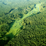 Bird’s eye view of the Rospuda